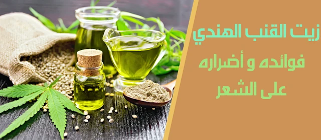 image about زيت القنب الهندي ( الحشيش ) وفوائده في العناية بالشعر والفروة الرأس