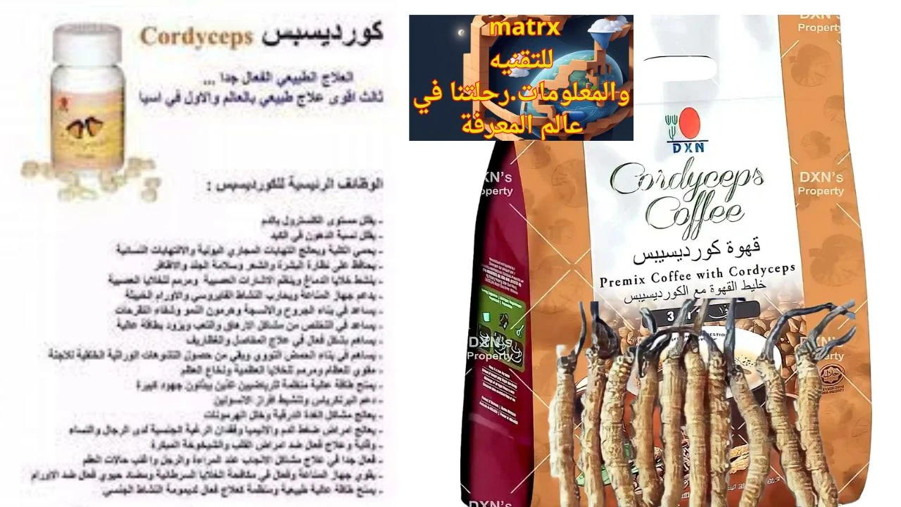 image about فطر كورديسيبس: Cordyceps