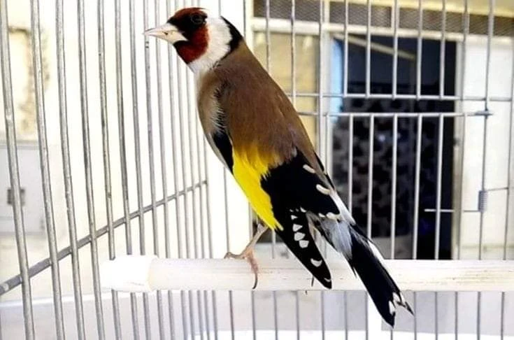 image about لا تطلب من ربك غفران