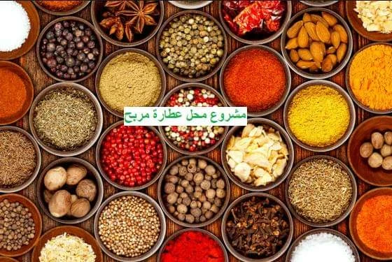 image about نعرض عليكم مشروع تجاري ناجح مع دراسة أولية لهذا المشروع