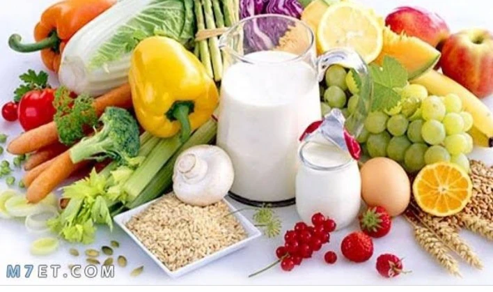 image about أفهم جسمك.وأعرف أزاي تبنيه صح
