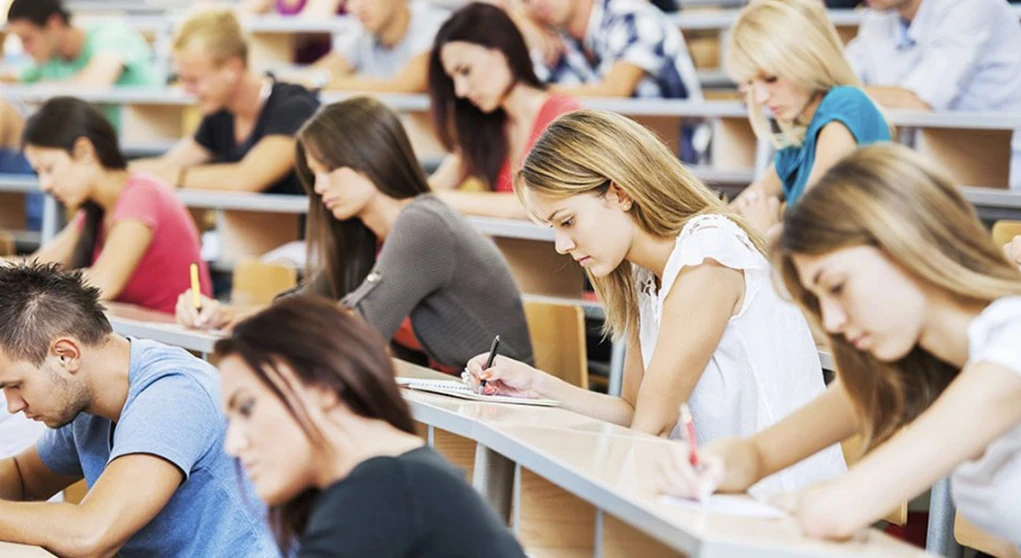 image about قصص نجاح و فشل في اختيار التخصص الجامعي 