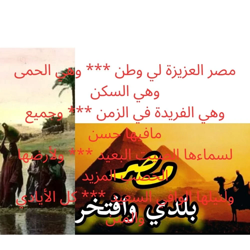 image about  بلاد الحضارة المتلألئة