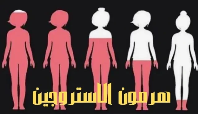 image about هرمون الأستروجين، تعرفى على هرمون الأنوثه للمحافظة على أنوثتك.