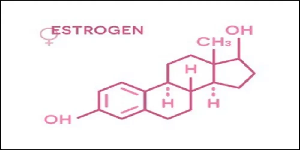 image about هرمون الأستروجين، تعرفى على هرمون الأنوثه للمحافظة على أنوثتك.