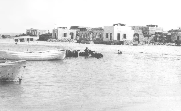 image about تاريخ فلسطين :  الطنطورة الفلسطينية...مجزرة القرية