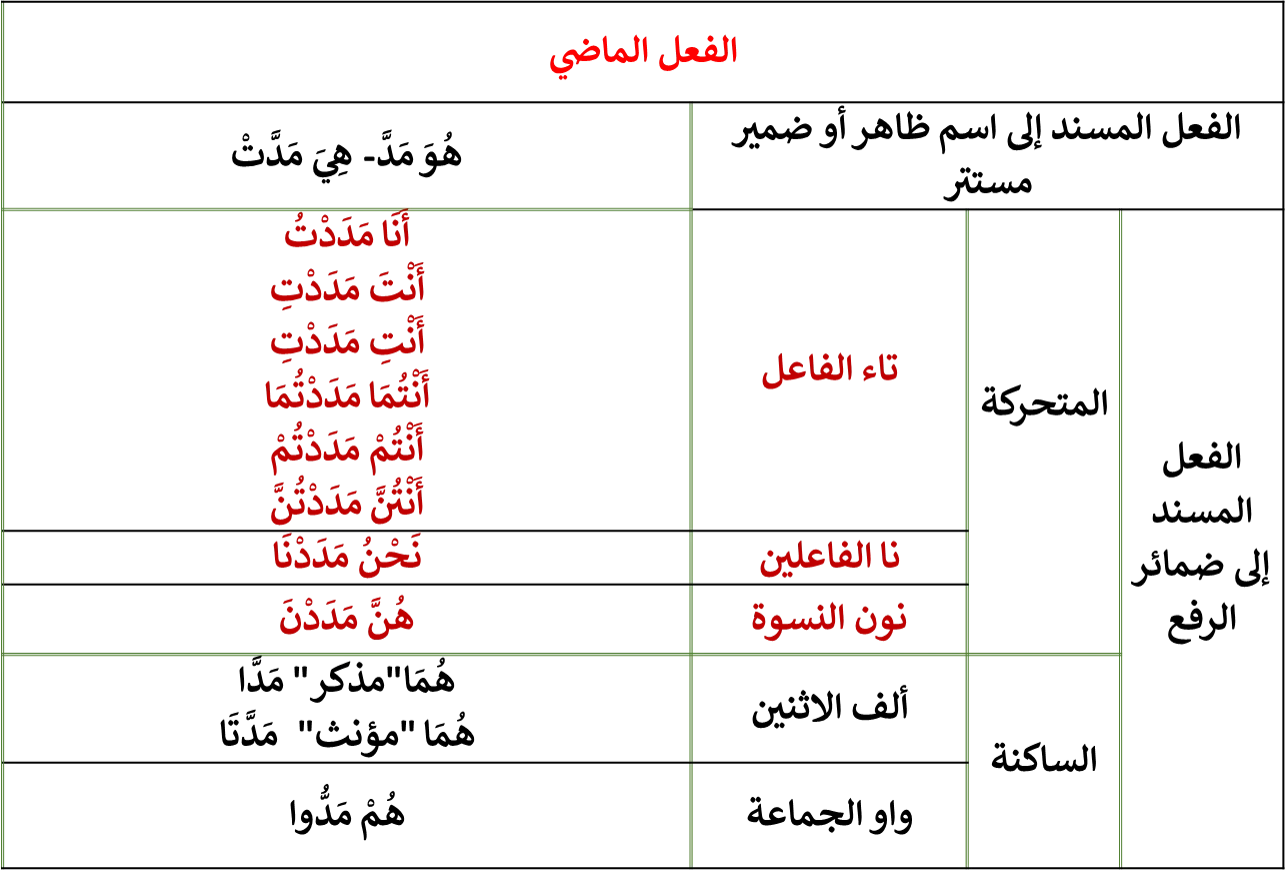 image about تصريف الفعل الصحيح المضعف 