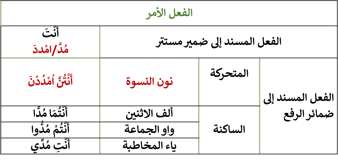 image about تصريف الفعل الصحيح المضعف 
