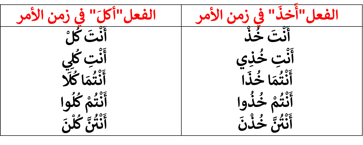 image about تصريف الفعل الصحيح المهموز 