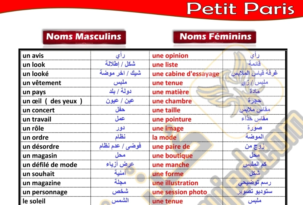 image about تحميل مذكرة المراجعة النهائية في الفرنساوي للصف الثاني الثانوي الترم الثاني 2024