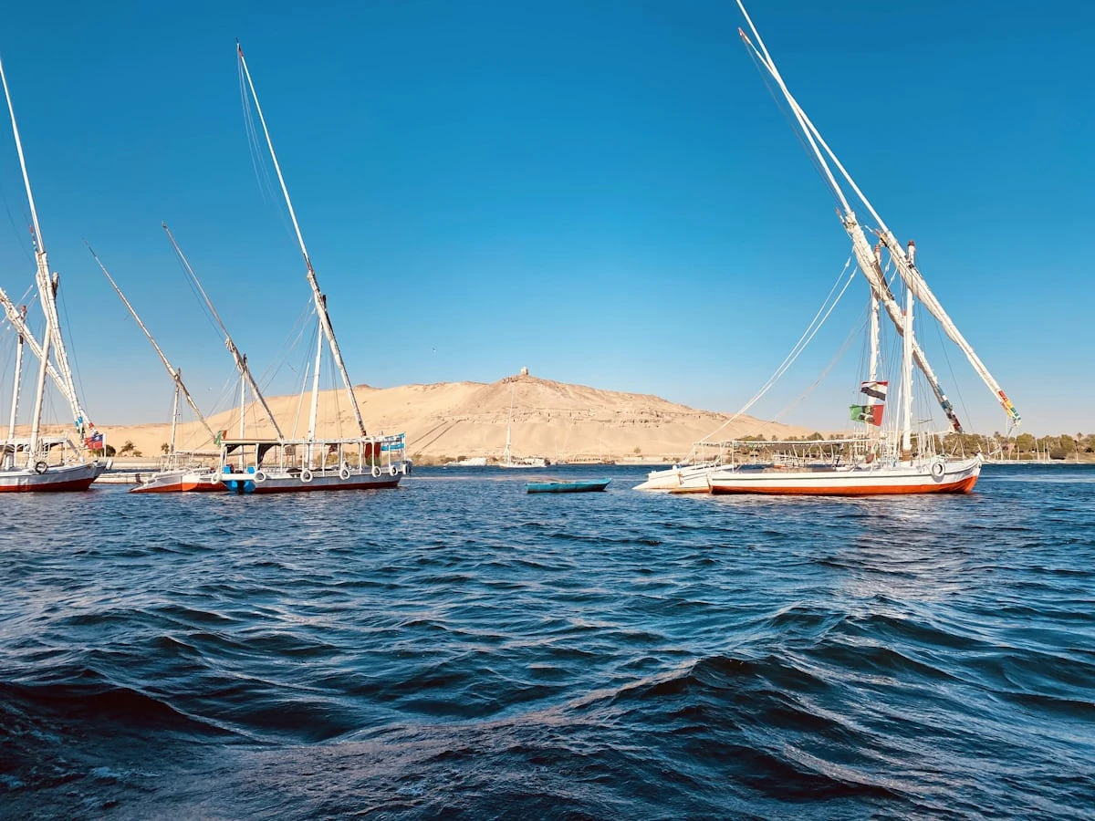 image about الكشف عن عجائب مصر القديمة: أرض الأهرامات والفراعنة 