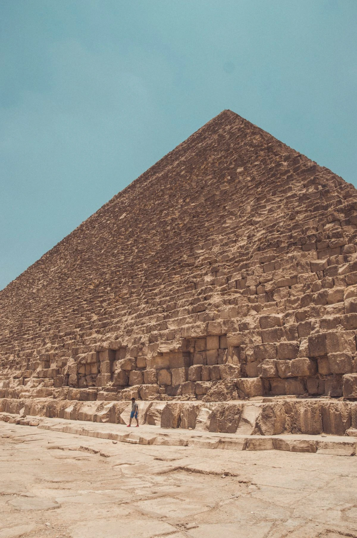 image about الكشف عن عجائب مصر القديمة: أرض الأهرامات والفراعنة 