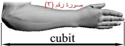 image about مقدمة عن علم المساحة الهندسية وأهميتها وتاريخ بدايتها