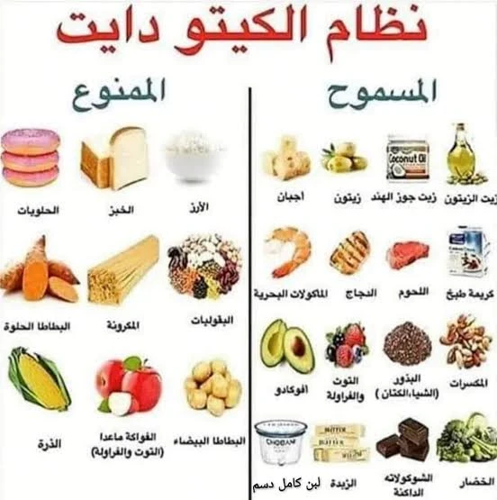 image about الدليل الشامل للمبتدئين في نظام الكيتو