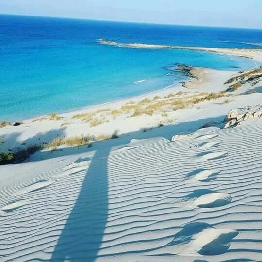 image about مرسى مطروح فى مصر #