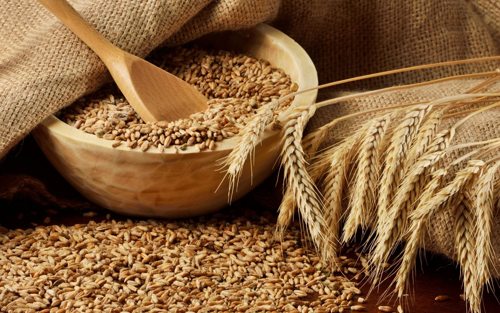 image about تنضيف الكلي من الطبيعة؛ حب كليتك وحافظ عليها ونقيها من السموم.
