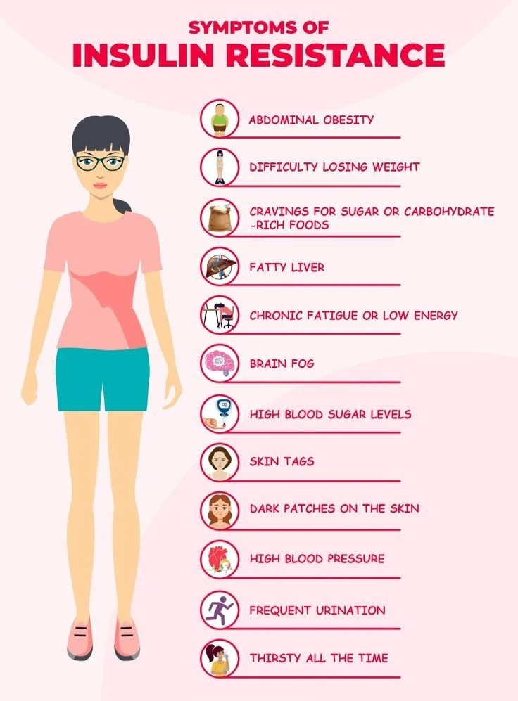 image about Insulin Resistance: The Silent Disruption Behind Blood Sugar Issues