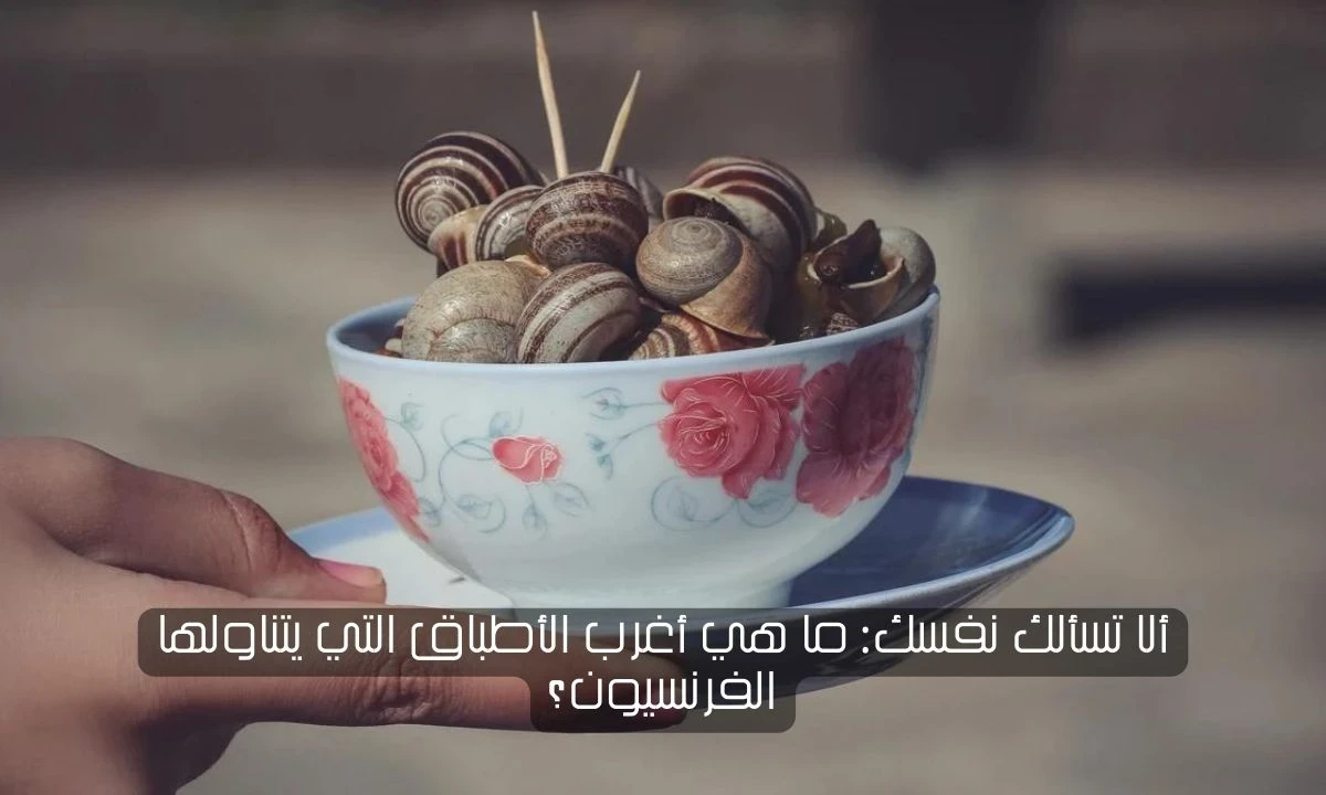 image about أغرب الأكلات الفرنسية ضفادع حلزون.. أشهر المأكولات الغريبة