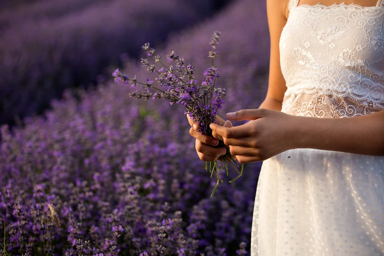 image about 5 of the most popular cosmetic uses for lavender oil 🪻