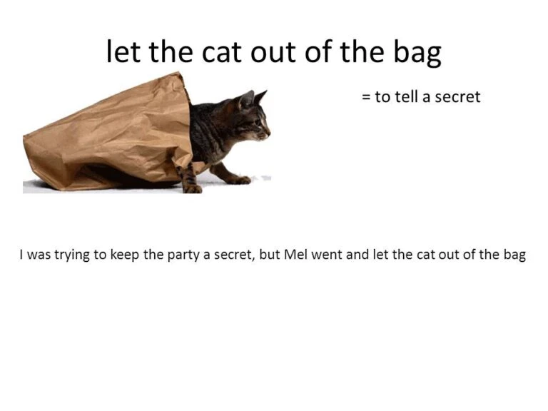 image about المصطلحات التعبيرية : كيف تتحدث ;كمواطن مع التعابير الإنجليزية English idioms.
