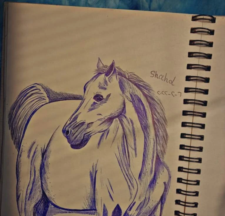 image about الفنانة شهد عبدالدايم تبدع في رسوماتها بأقلام الحبر والجاف