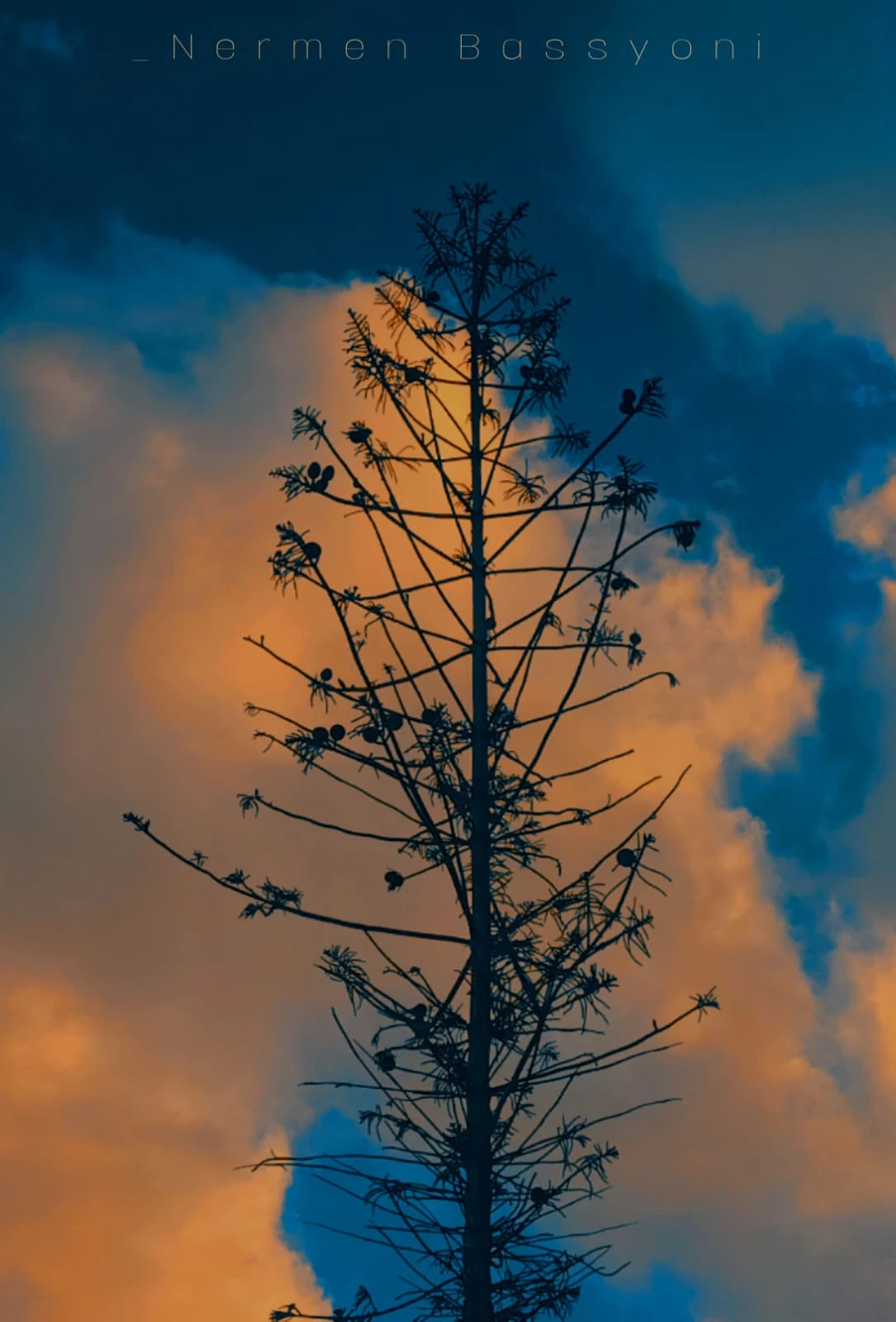 image about يلقبونها بـ «الفنانة» .. نرمين بسيوني تقتحم مجال الرسم والتصوير وتقدم أعمال رائعة من طراز فريد