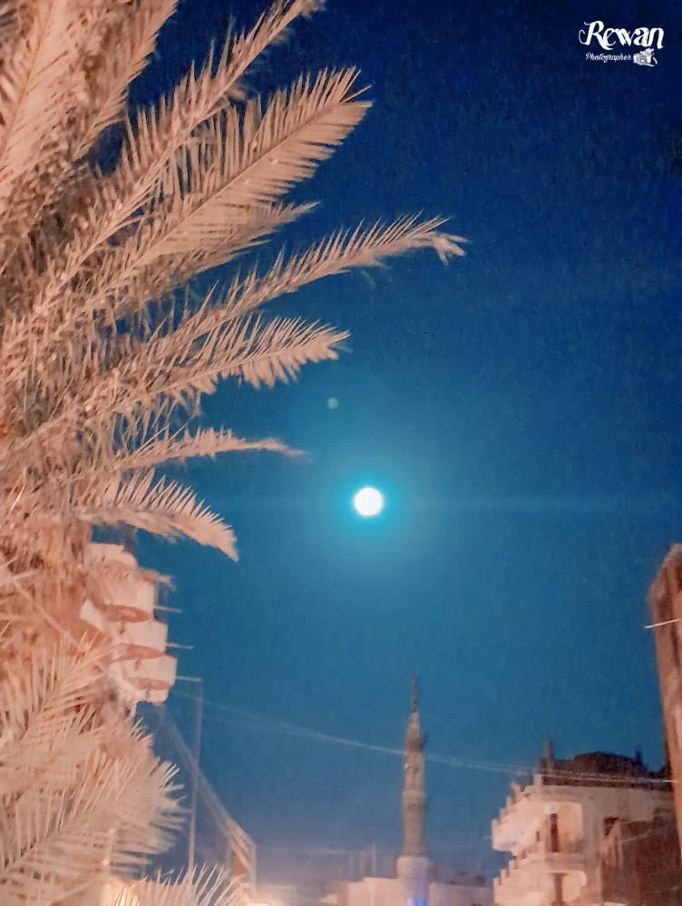 image about يسمونها «هروين» .. روان سعيد تسرد مشوارها الإبداعي بكتاباتها الرائعة وصولًا إلى معرض الكتاب