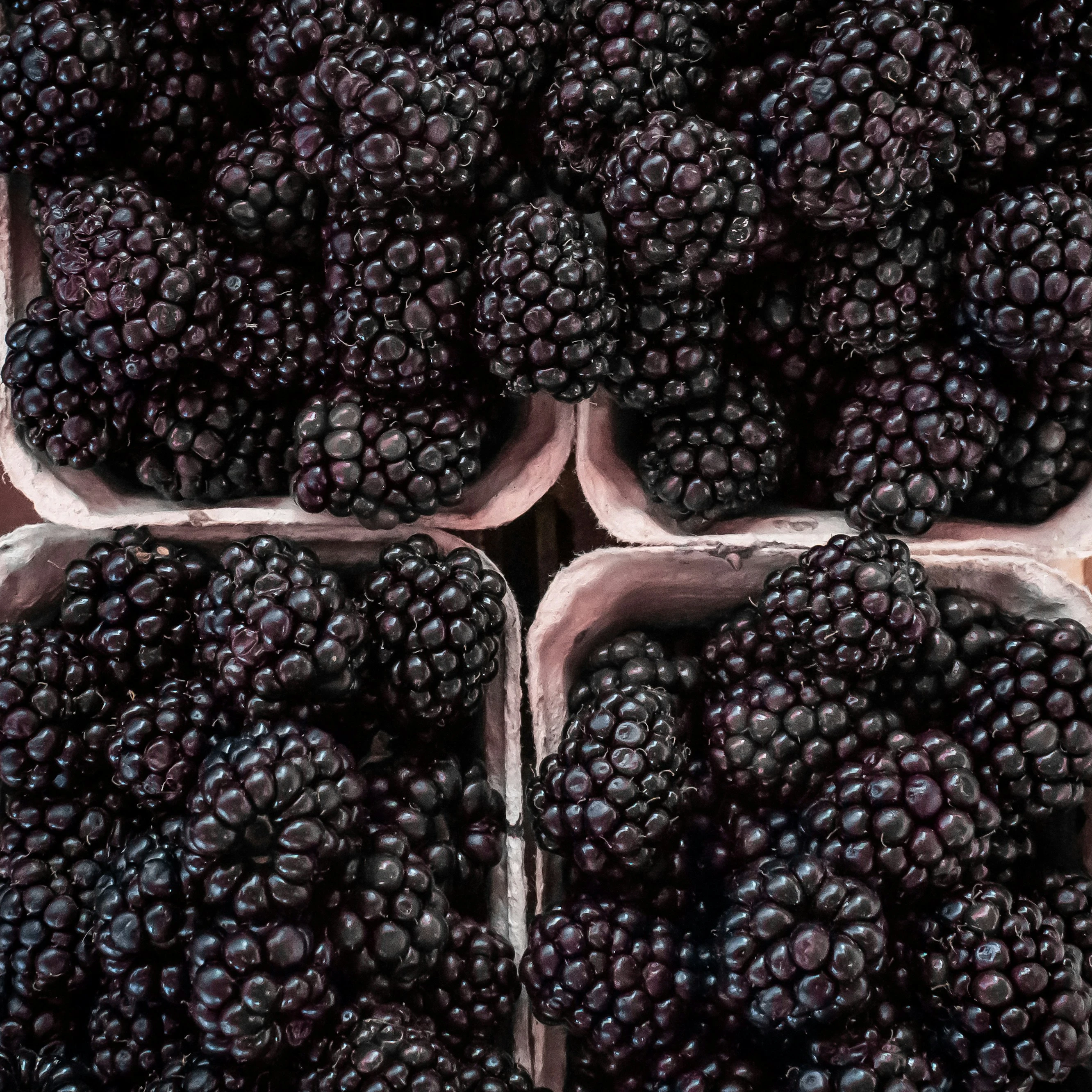 image about فوائد فاكهة التوت Benefits of raspberry fruit