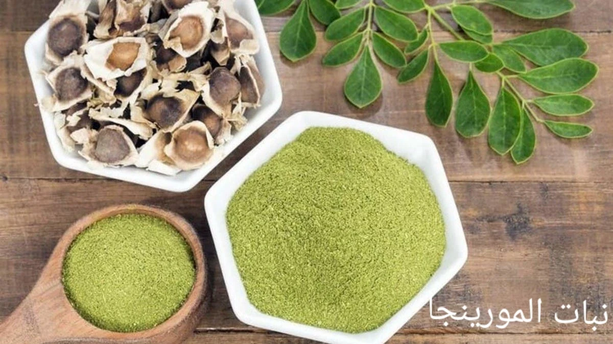 image about شاى المورينجا واهميته