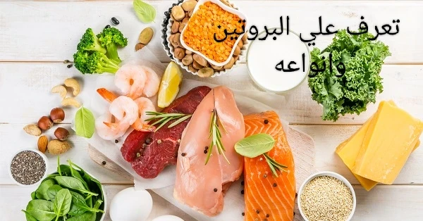 image about #### البروتين الحيواني أم النباتي أيهما أفضل؟
