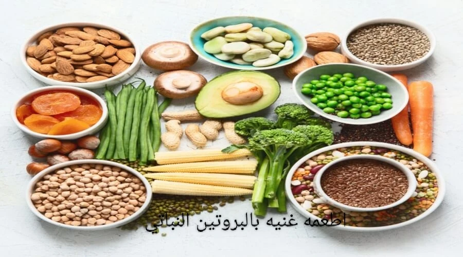 image about #### البروتين الحيواني أم النباتي أيهما أفضل؟