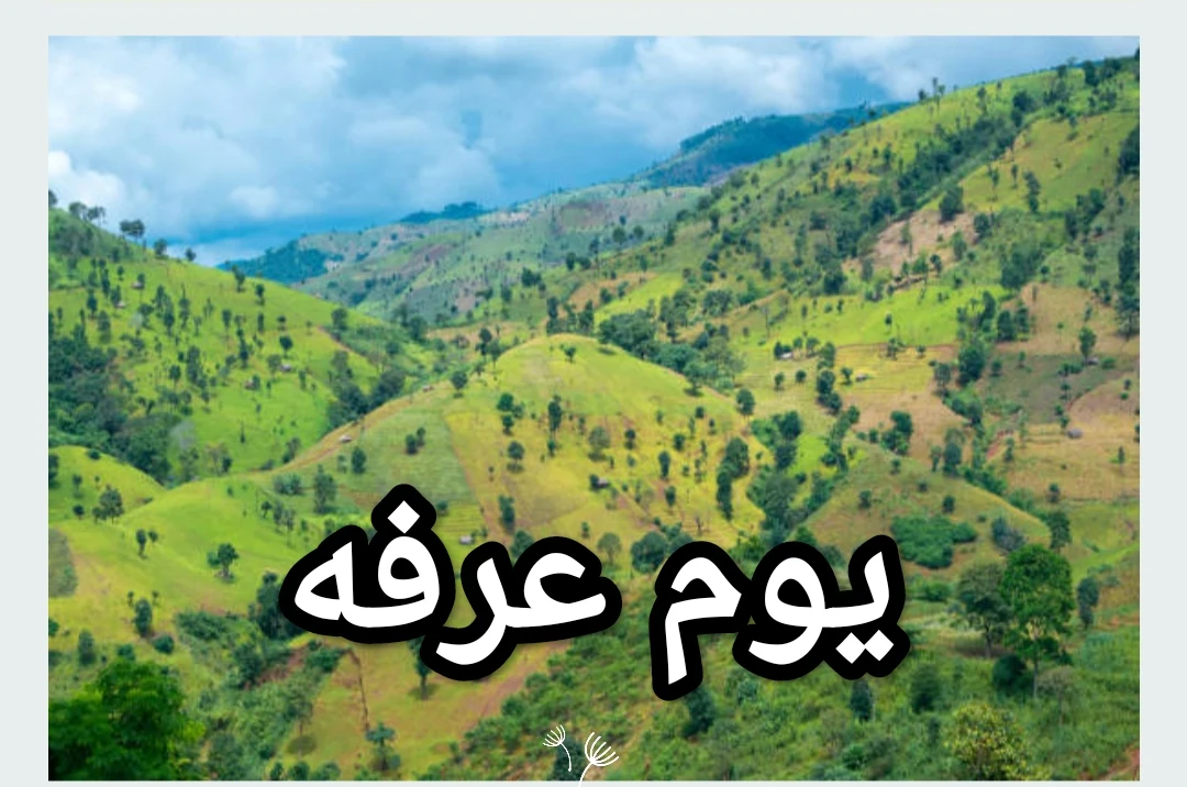 image about يوم عرفه وعظمته 