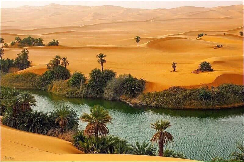 image about علامات الساعة التي ظهرت 2022