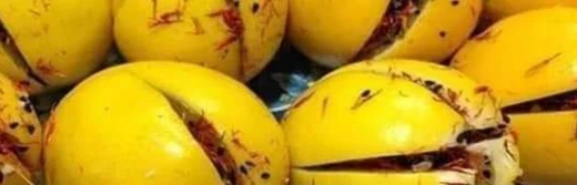 image about طريقة سهلة وسريعة لتخليل الزيتون والليمون المعصفر