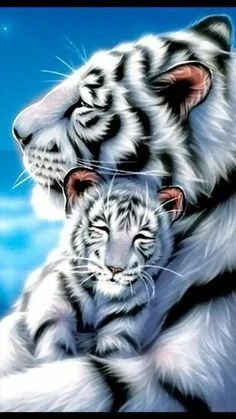 image about أنواع النمور  وأهم صفاتها و عالمها الخاص