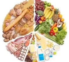 image about The importance of Nutrition 