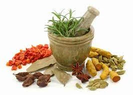 image about القواعد الاساسيه في استبدال العلاج بالاعشاب