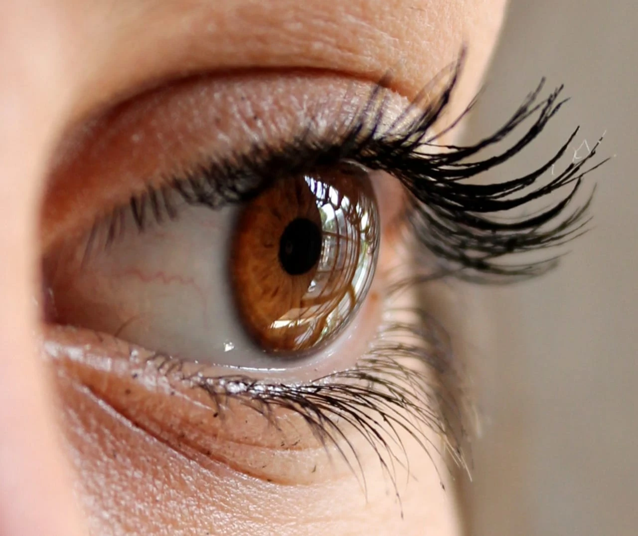 image about اهميه الرموش لجمال المراه وكيفيه الاعتناء بها