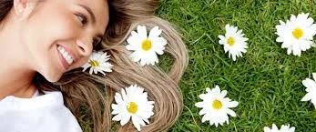 image about فوائد البابونج الطبية ومخاطر استخدامه