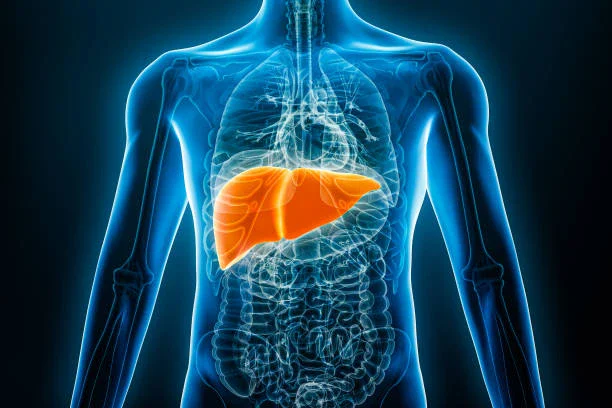 image about صديقة الكبد.. فاكهة تقي من أمراض القلب والموت المفاجئ
