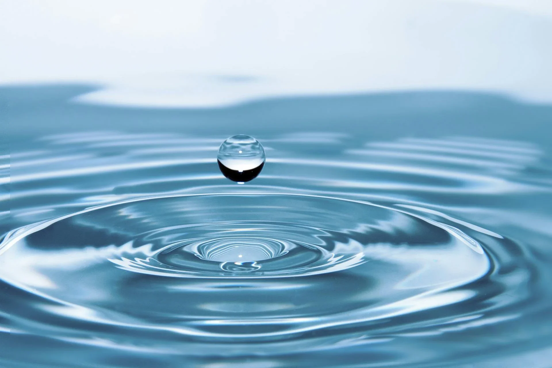 image about التغذية الصحية لكل لاعبي الرياضة