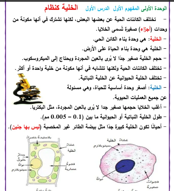 image about تحميل مذكرة علوم للصف السادس الأبتدائي الترم الأول 2024 / 2025