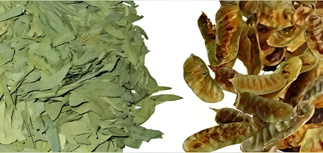 image about سر خطير ينظف الكاولون وبقايا الطعام التى فى البطن من  سنين 
