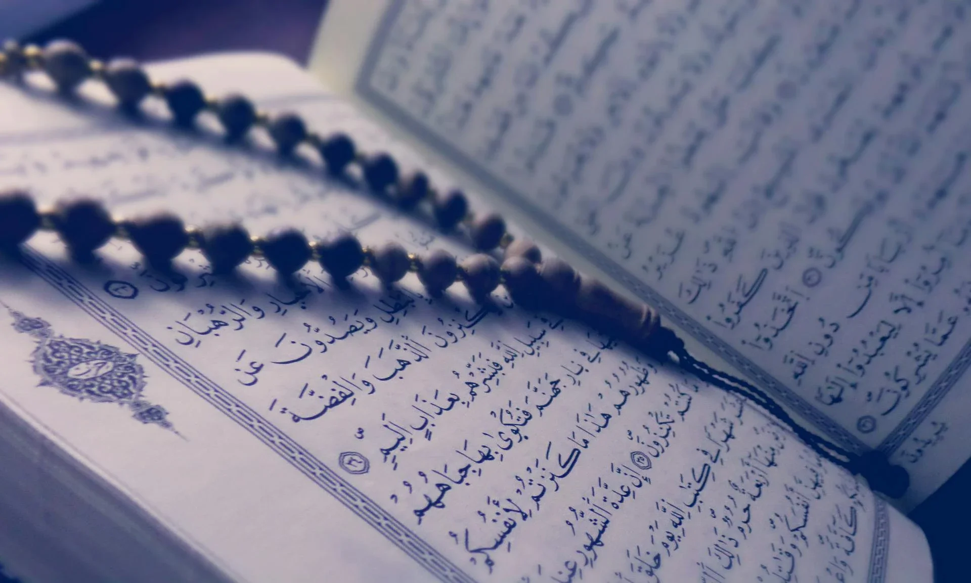 image about أثر القران الكريم العلمى الدينى فى النفوس