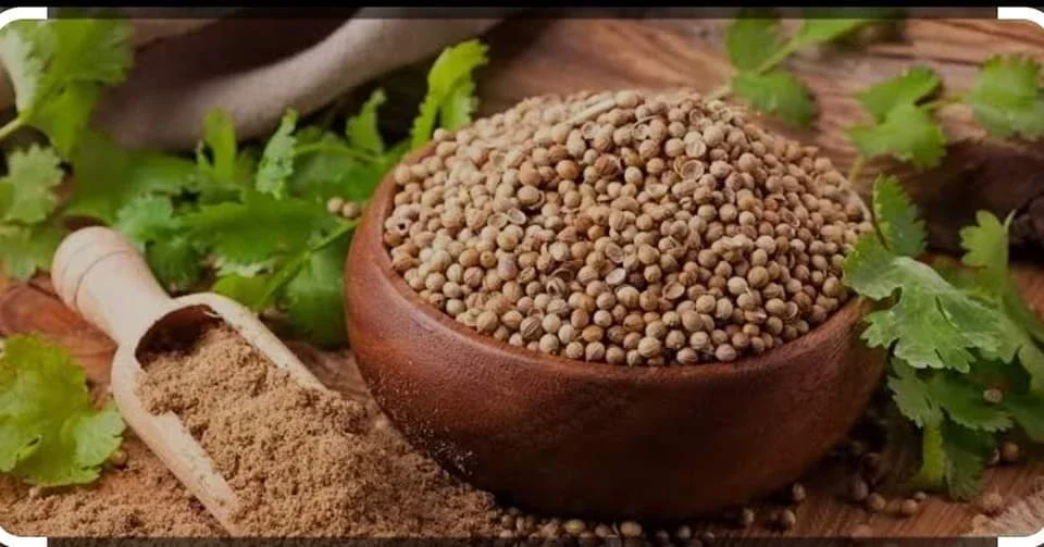 image about فوائد الكزبرة المغليه للحمام . 