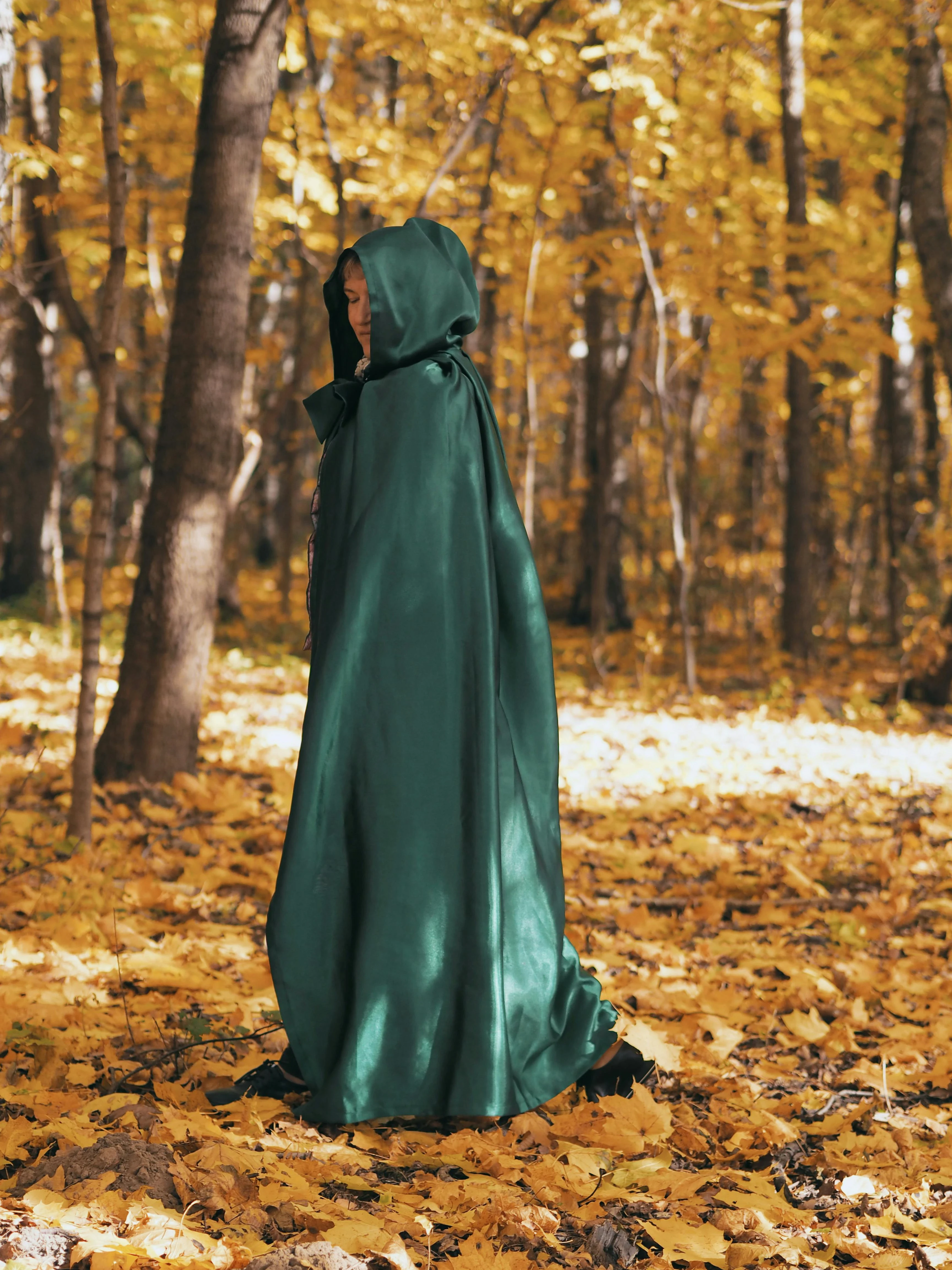 image about The forgotten garden of roses 