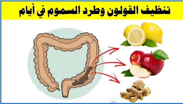 image about كيفية التخلص من القولون بشكل نهائي