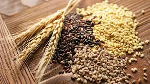 image about نصائح لتغذية صحية ومتوازنة لجسم صحي