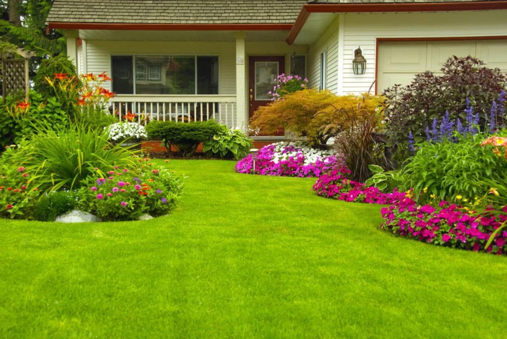 image about حديقه المنزل النباتيه