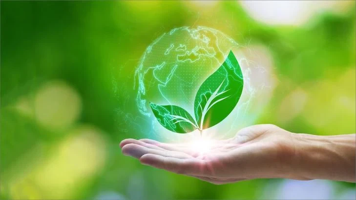 image about الأنشطه التجاريه: محرك الاقتصاد وبوابة الفرص